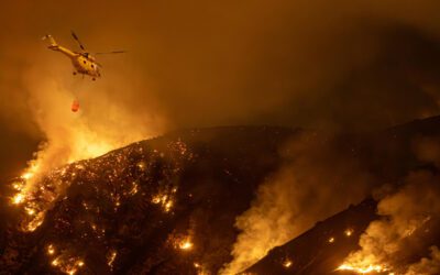 Exploring the Impact of Emergency Response Systems During the 2025 Los Angeles Fires